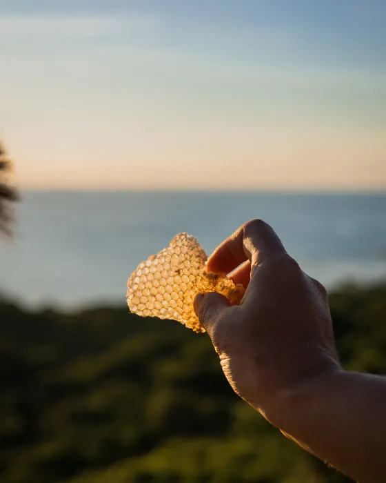 A hand holding a piece of golden honeycomb up against the dusk sky over the ocean at Amora, Dominicalito.